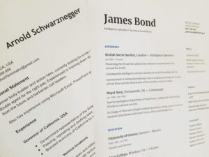 How a chronological resume format looks like