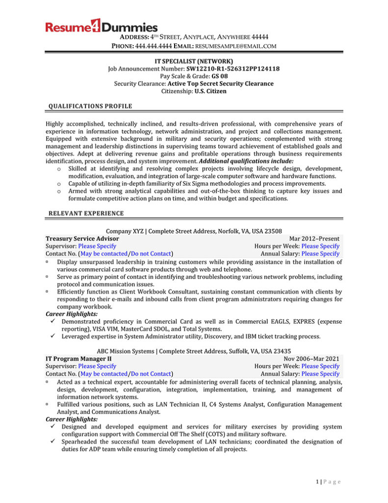 Federal Government IT Specialist Resume Examples  Resume Sample